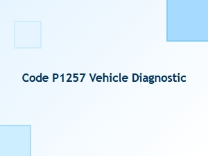 Code P1257 Definition and Causes