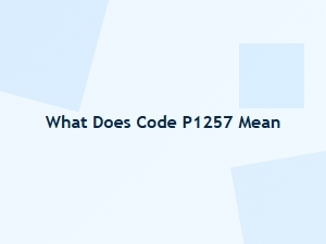 What Does Code P1257 Mean