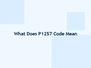 What Does P1257 Code Mean